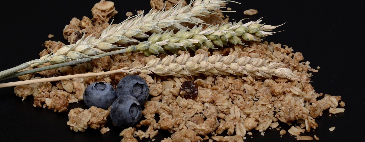 patologie correlate all’esposizione al glutine