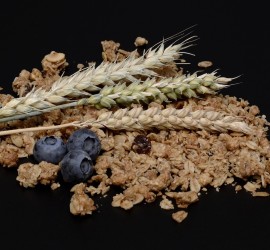 patologie correlate all’esposizione al glutine